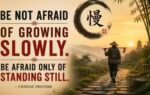 chinese proverb