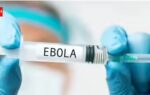 ebola