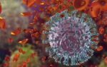 flu kills 12 lakhyear in india senior citizens bear the brunt