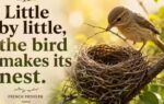 french proverb