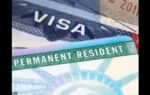 indian man on green card ead asks if he can go back to india with rs 6 crore fund and no job