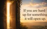 korean proverb of the day