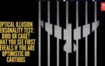 optical illusion personality test