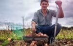 potato farmer