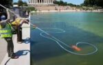 reflecting pool