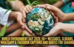 world environment day 2026