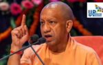 yogi