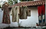 a bulgarian wisdom on sustainability management