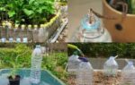 diy water drip system for your mini garden