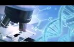 gene editing