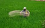 india brings in over 32 lakh tonnes of key fertilisers in april june