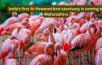 india39s first ai powered bird sanctuary is coming to maharashtra