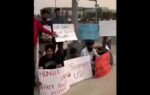 indian students in canada who have been denied of work permit start a hunger strike