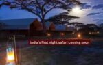 indias first night safari coming soon
