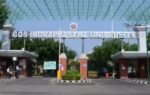 ip university