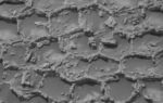 nasas mars rover curiosity