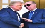 nato showcases big arms deals as trump sulks