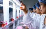 niti aayog39s roadmap to turn india into a 691 billion bioeconomy