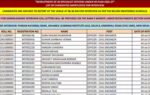 pnb so result 2026 released