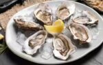 shellfish