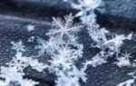 snowflakes