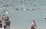 spain migrant crisis