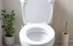 want a fresh and odour free toilet these 6 ingredients can help