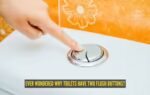 why do toilets have two flush buttons