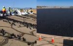 why los angeles dropped 96 million black balls into drinking water