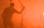 wildfire