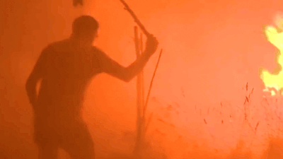 wildfire