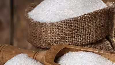 1787603398 sugar