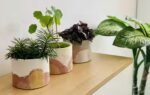 5 easy diy hacks to create a luxury plant corner without spending a fortune