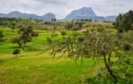 a lost chapter in the history of ethiopia agriculture