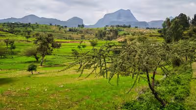 a lost chapter in the history of ethiopia agriculture