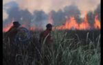 aptopix indonesia wildfires