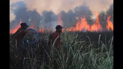 aptopix indonesia wildfires