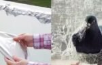 can aluminium foil keep pigeons away