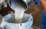 can you guess indias milk capital heres why this gujarat city earned the title