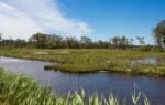 chincoteague national wildlife refuge