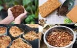 cocopeat