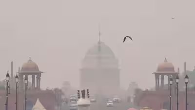 construction ban in delhi