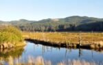 drift creek unit of siletz bay national wildlife