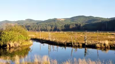drift creek unit of siletz bay national wildlife