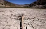 drought resilience dominates final days of unccd talks in riyadh