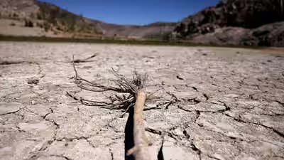 drought resilience dominates final days of unccd talks in riyadh