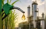 ethanol production
