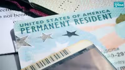 green card update for august