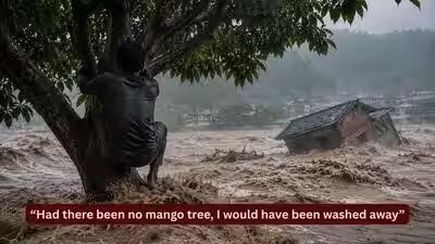 had there been no mango tree i would have been washed away