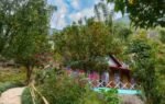 haroon rashids sophian rooftop is filled with varieties of herbs vegetables and fruits